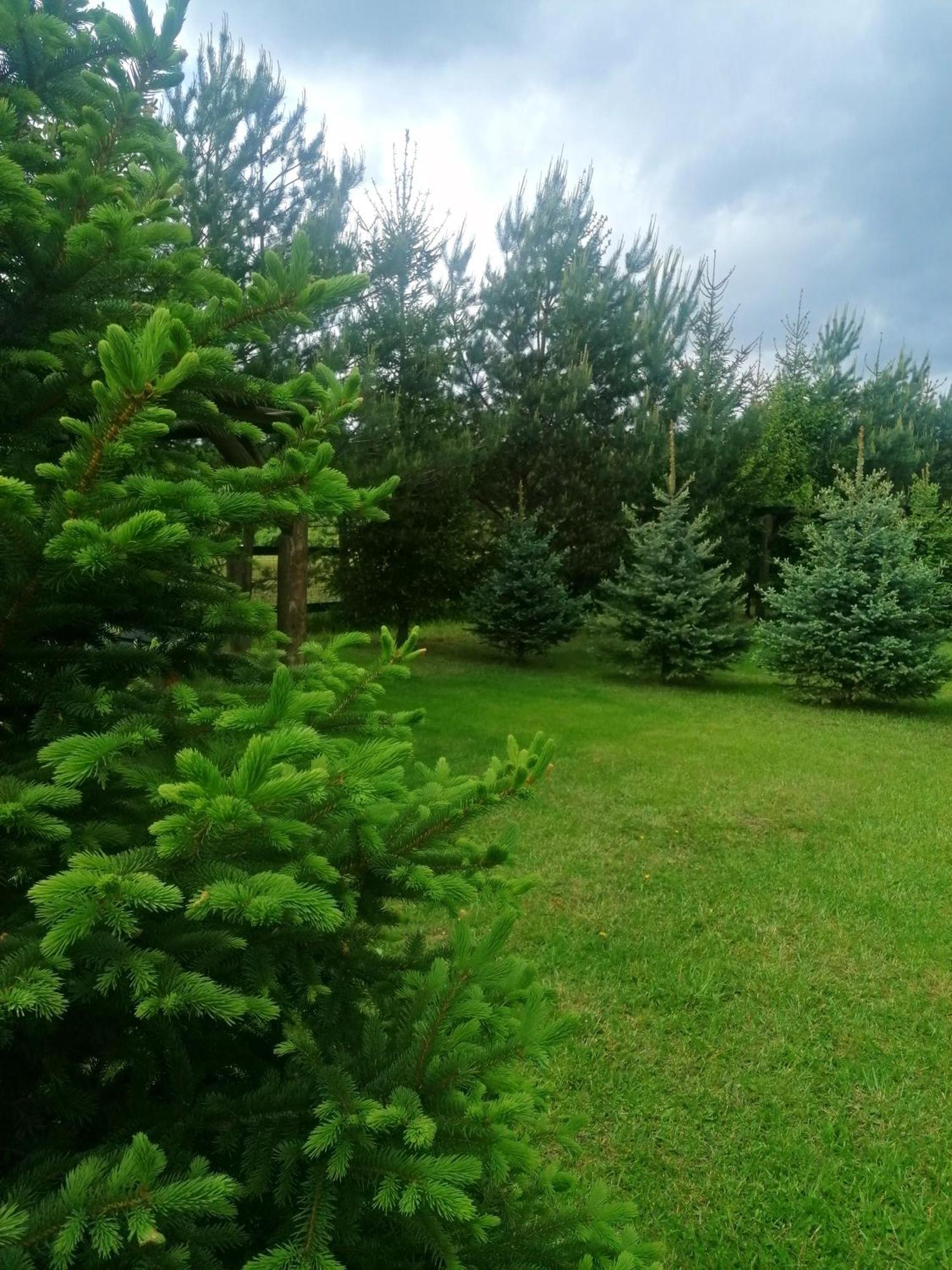 Hotel Camp Pacho Prievidza Zewnętrze zdjęcie