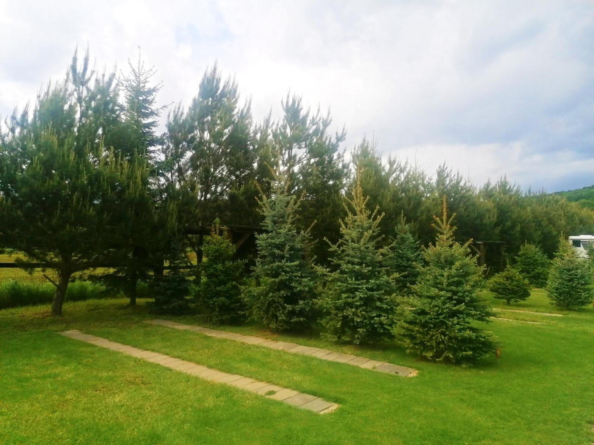 Hotel Camp Pacho Prievidza Zewnętrze zdjęcie